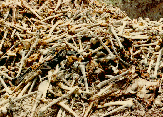 attraction-Choeung Ek, Killing Fields.jpg